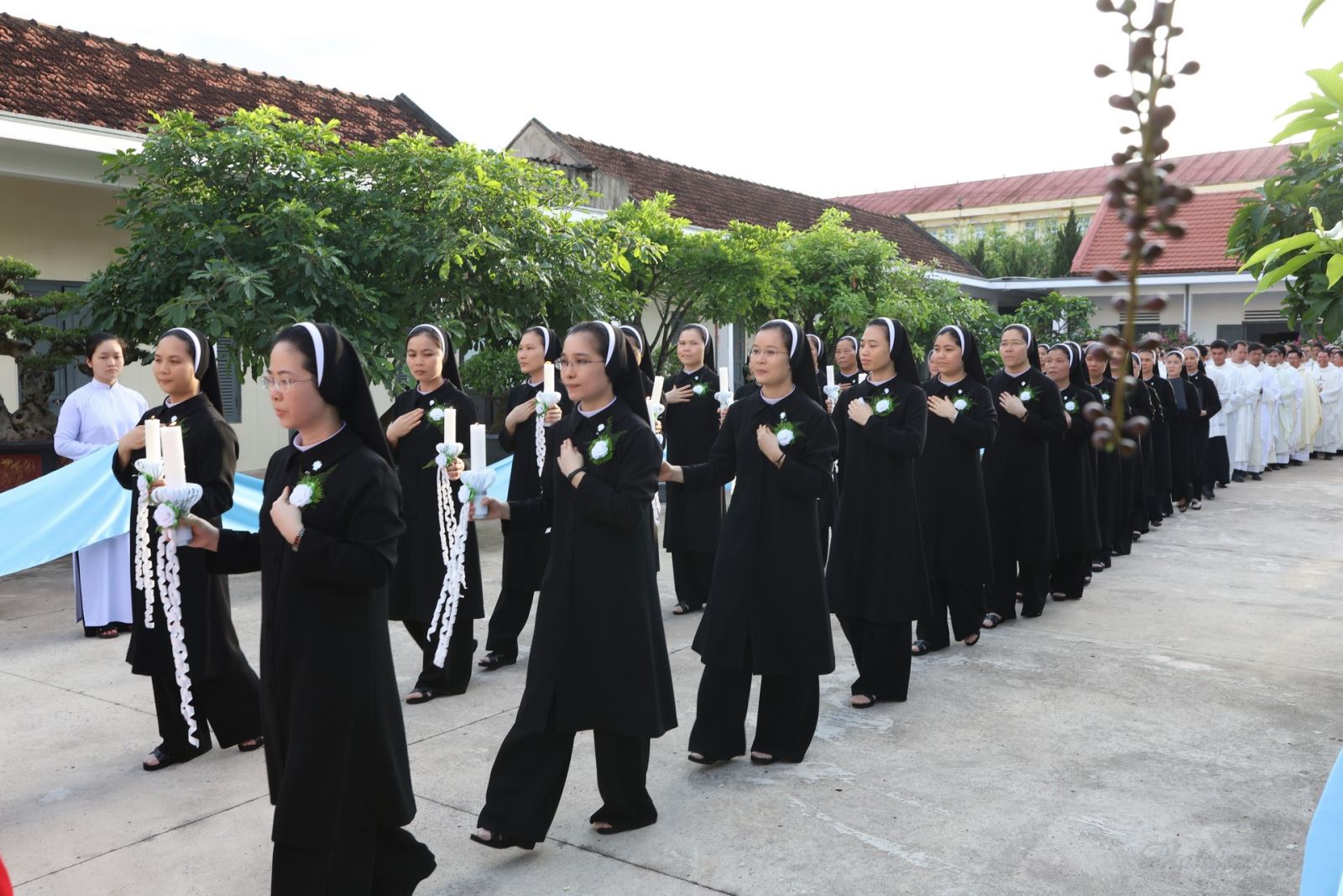 12 nữ tu MTG Phát Diệm vĩnh khấn